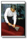 Carpet Cleaners