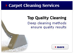 panel-carpet-cleaning-services